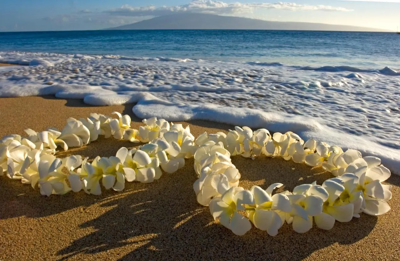 Apartment Remodeled 1Br Condo, Ocean Views With Free Parking! Honolulu